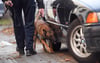 Ein Polizeihund im Einsatz. 
