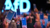 Die AfD will ihre neue Jugendorganisation stärker an sich binden. (Archivbild)