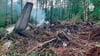 Überreste der abgestürzten An-24 mitten in der Taiga.