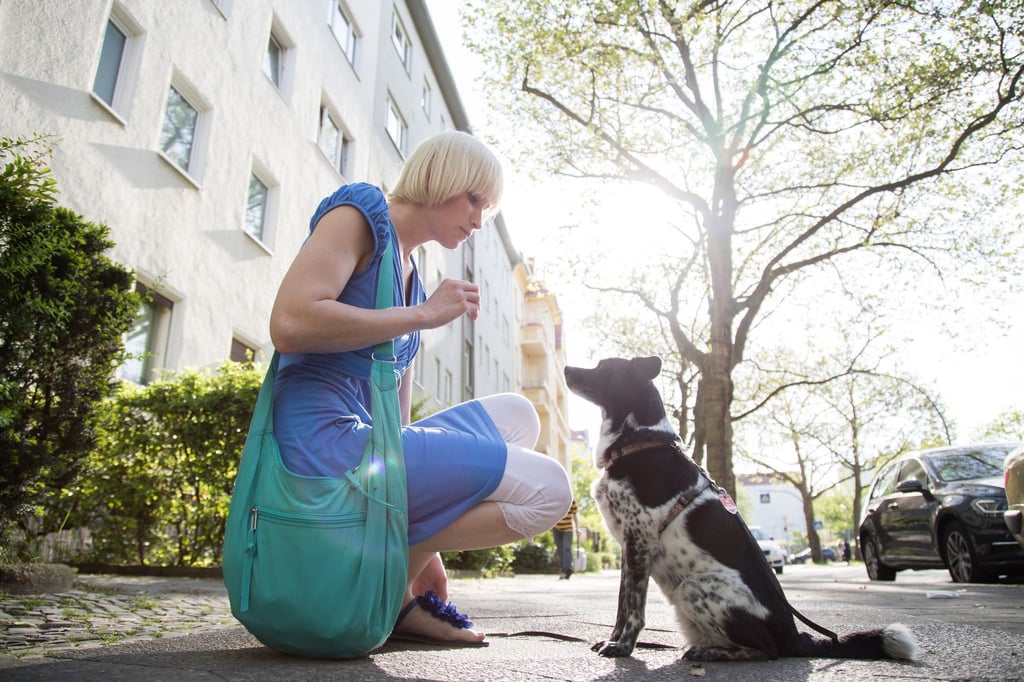 Ein gutes Hundetraining basiert auf Vertrauen - nicht auf Gewalt und Zwang.