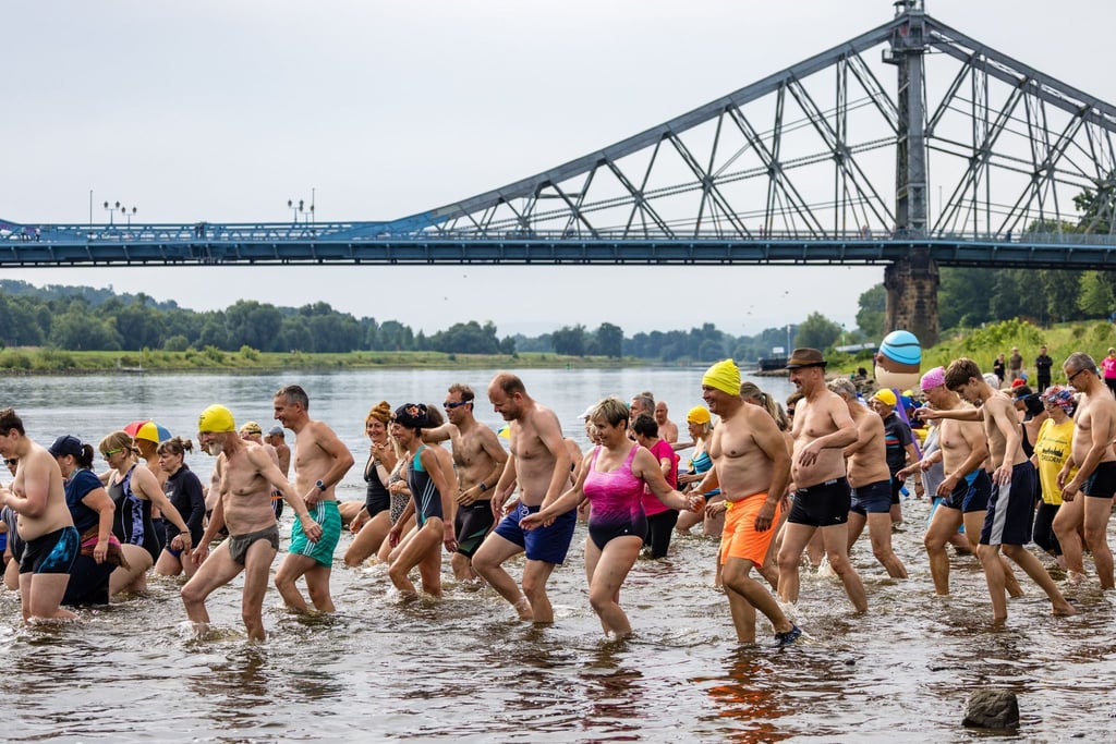 Hunderten Menschen machen beim Elbeschwimmen mit.