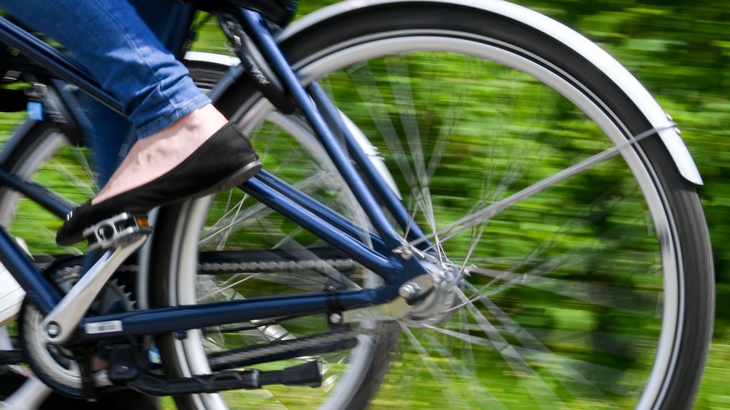 Zwischen Bitterfeld und Holzweißig stürzte ein Radfahrer.