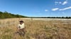 Beiges Hemd, dunkelbraune Hose, breitkrempiger brauner Hut: Andreas Rakers arbeitet als Ranger im Naturpark Moor-Veenland.