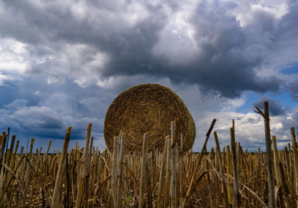 Das Wetter in Berlin und Brandenburg kann zum Wochenwechsel ungemütlich werden. Je nach Region gibt es Regen, Gewitter oder Sonnenschein. (Symbolbild)