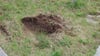 Der Lützener Bauhof hat Steine von Grünflächen entfernt. Mittlerweile wurden die entstandenen Löcher mit Erde verfüllt und Gras angesät.
