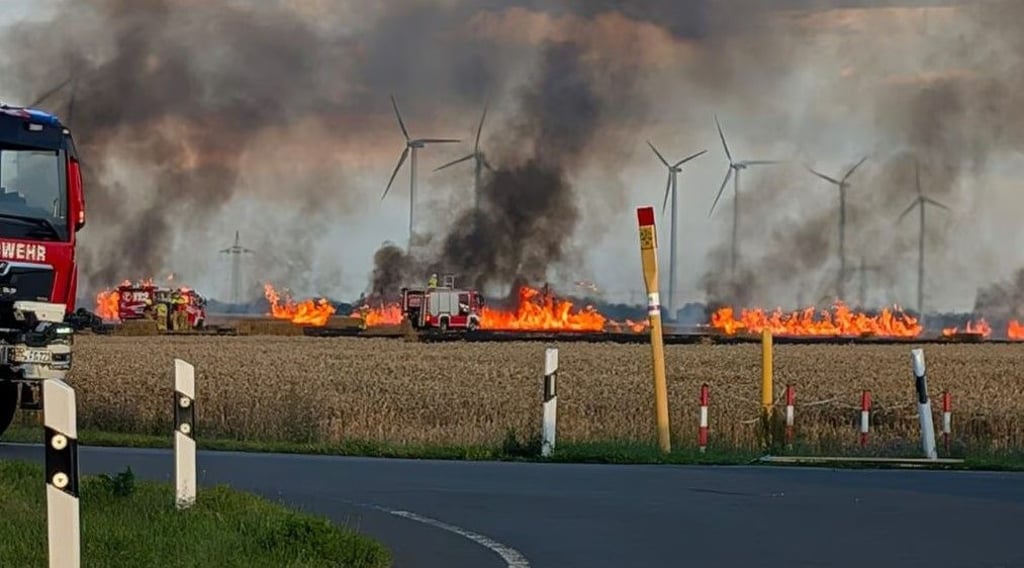Über 150 Wehrleute aus Sachsen-Anhalt und Sachsen waren bei dem Feldbrand bei Roitzsch im Einsatz.