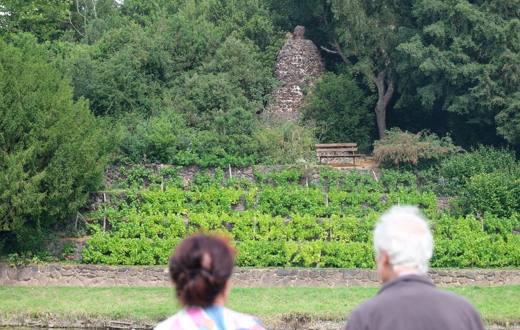 Das Bauwerk war unter Büschen verborgen.