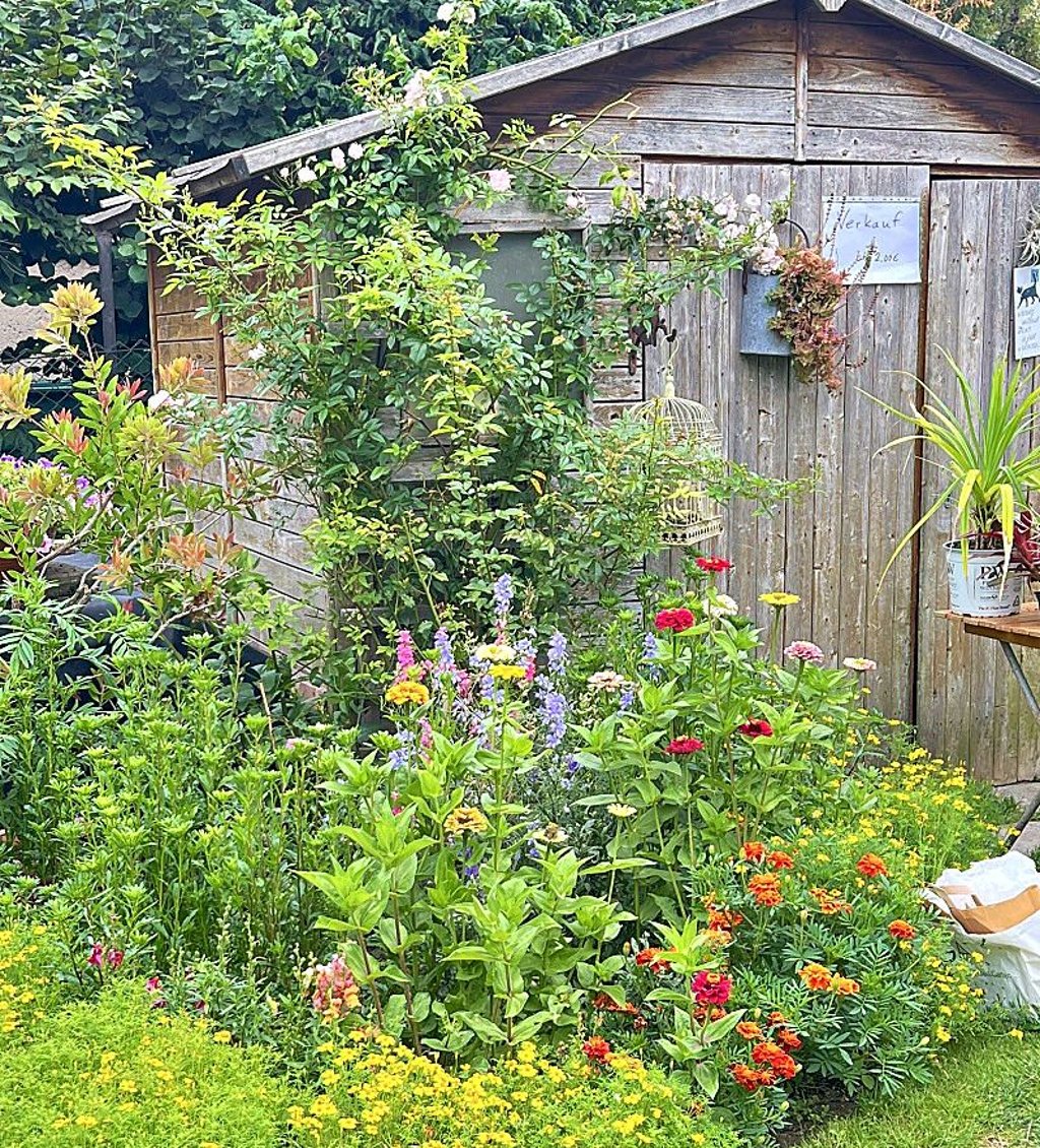 Idylle bei Heidi und Lothar Krämer in Aschersleben. Ihr Garten ist besonders vielfältig.