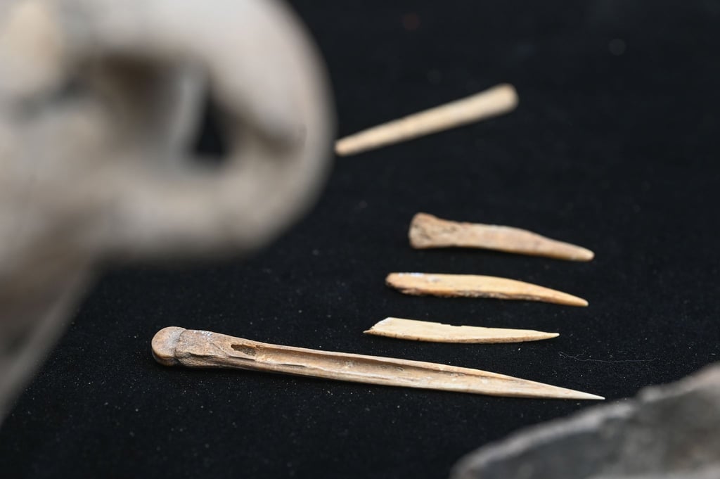 Bei Gerstewitz wurden mehrere Nadeln aus Knochenmaterial entdeckt.