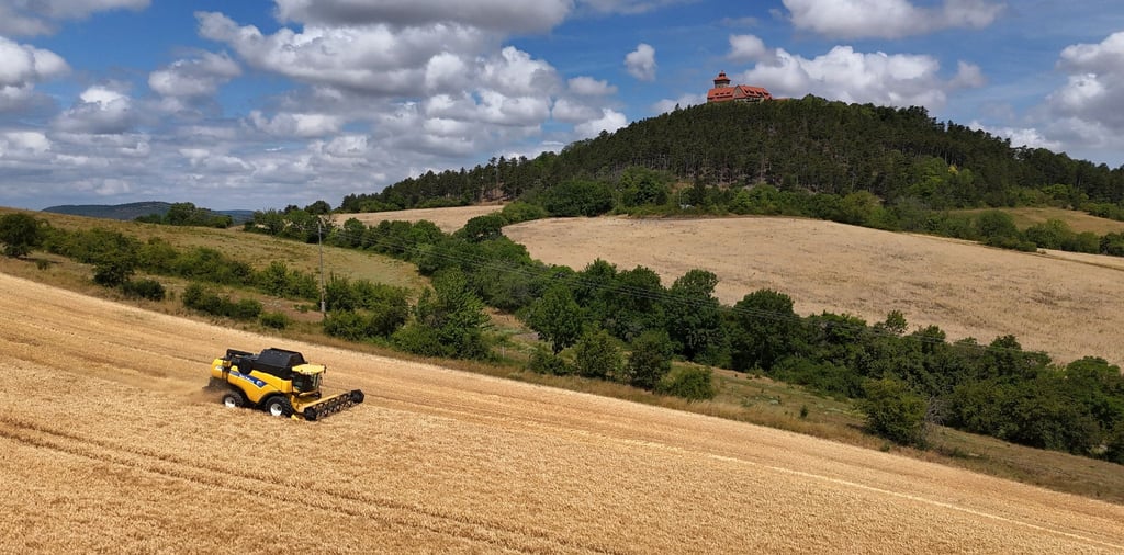 Die Wintergerste macht bei in der Regel den Anfang bei der Getreideernte. Die Gesamtanbaufläche für Getreide ist in Thüringen in diesem Jahr gewachsen (Archivfoto).