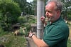 Die Bären und das Loch: Holger Zufelde zeigt auf das Gehege, in dem die Tiere gegraben haben. Er sieht es gelassen, man könne dagegen nichts machen.
