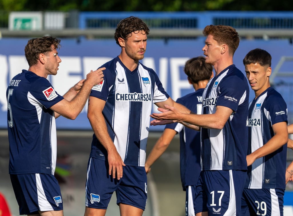 Hertha muss auf seinen Heimtrikots auch einen Teil der Rückenpartie mit Streifen ausstatten.