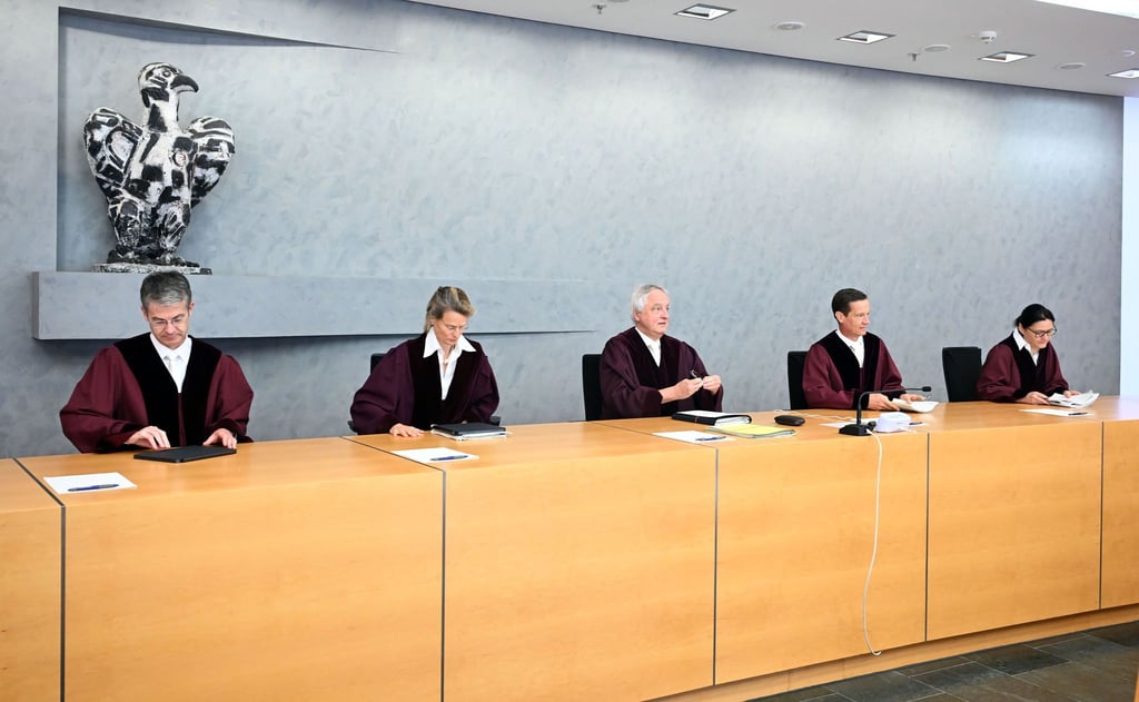 Das oberste deutsche Zivilgericht hat einen Streit zwischen dem Linksfraktionschef und einer rechtsextremen Kleinstpartei unter die Lupe genommen.