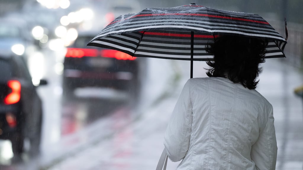 In Sachsen-Anhalt drohen Ende Juli und Anfang August Schauer und Gewitter.