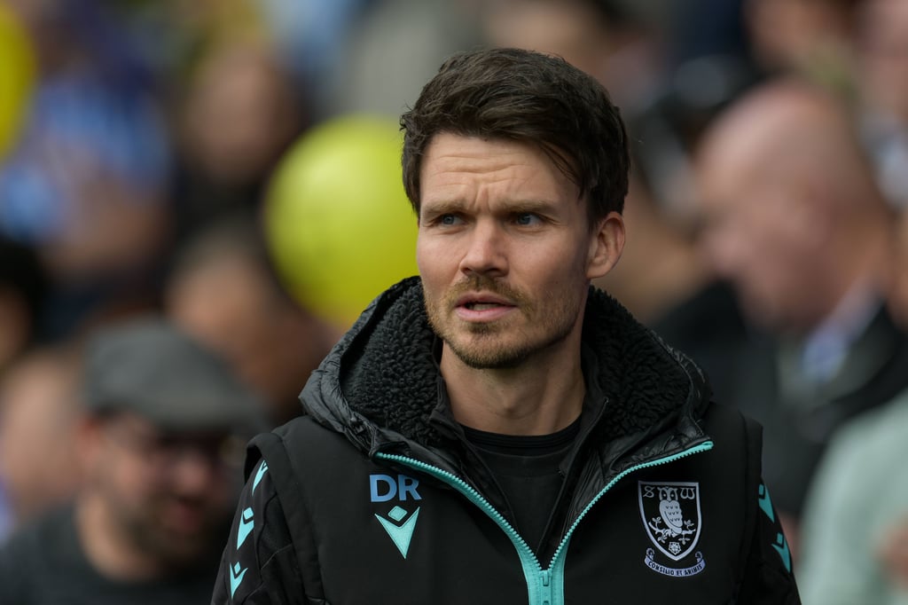 Danny Röhl verlässt Sheffield Wednesday.