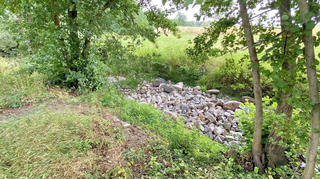 Die gebaute Sohlgleite an der „Mühlenlanke“ soll das Wasser bei hohen Temperaturen zurückgehalten werden.
