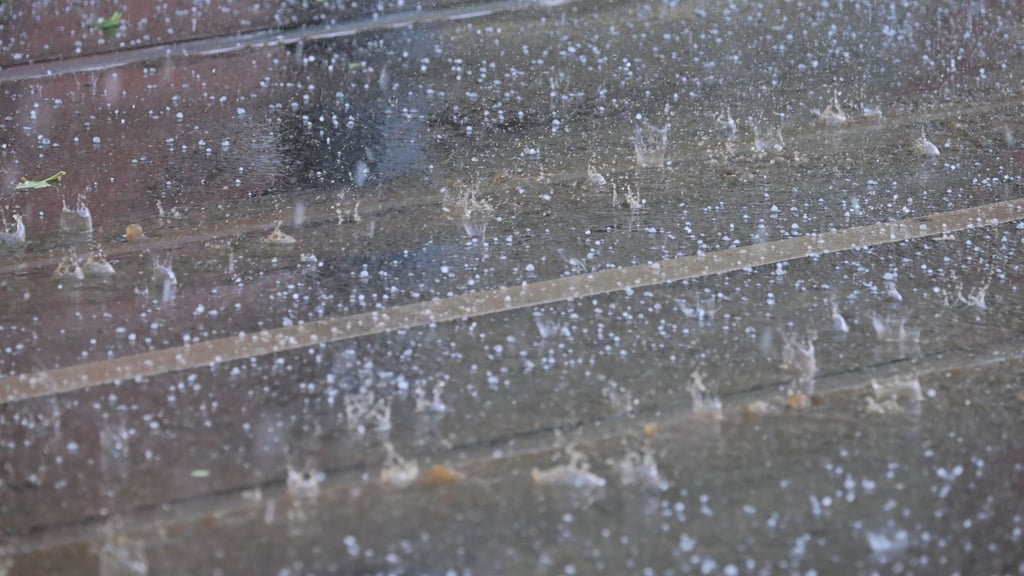 In Sachsen-Anhalt drohen Ende Juli und Anfang August Schauer und Gewitter.