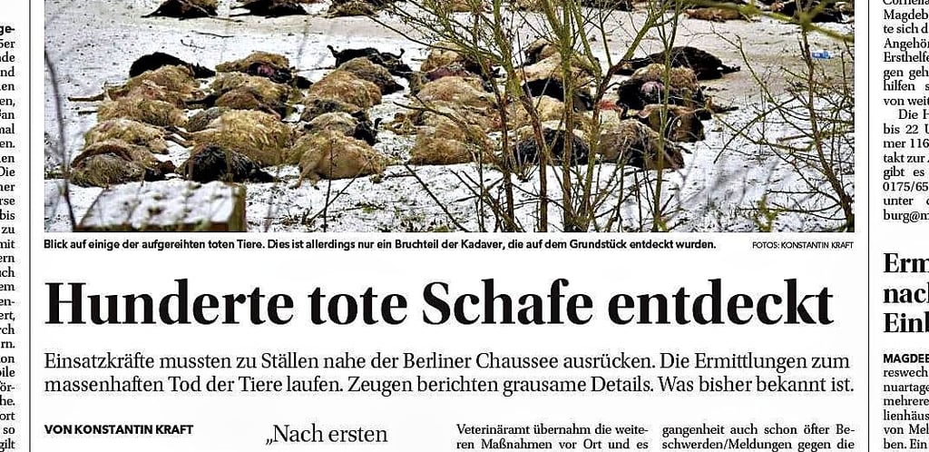 Volksstimme-Schlagzeile vom Januar 2025.