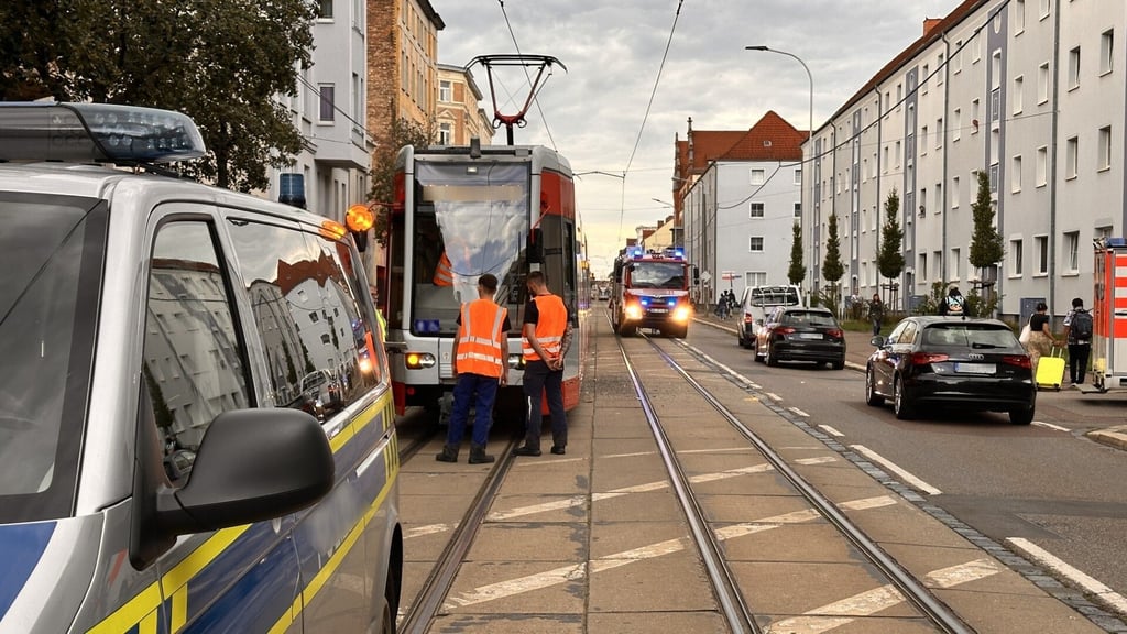 Die Unfallstelle in der Freiimfelder Straße in Halle.