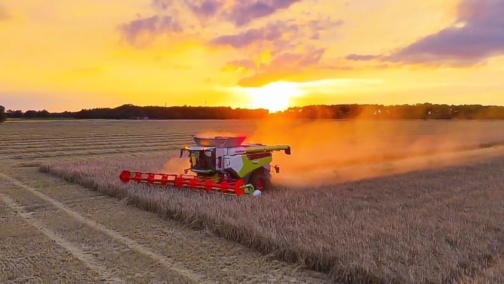 Wie fällt die Ernte aktuell aus? Die MZ fragt in drei Jessener Agrarbetrieben nach.