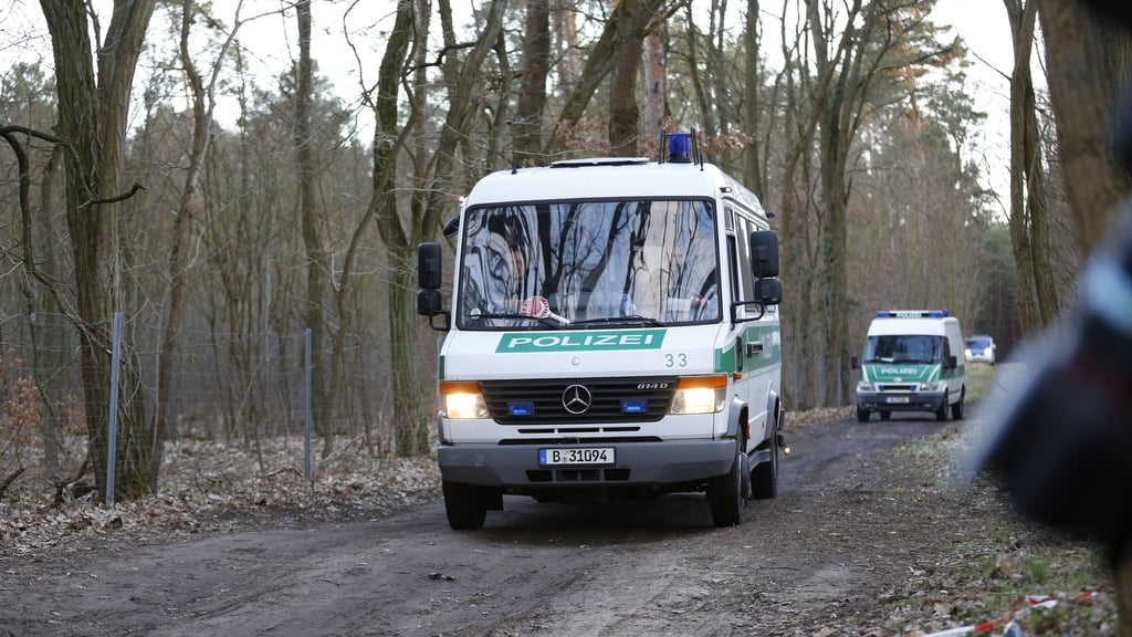 In dem Wald, den die Polizei bereits auf der Suche nach Rebecca Reusch durchkämmt hat, suchen nun Hobbydetektive nach der Jugendlichen.