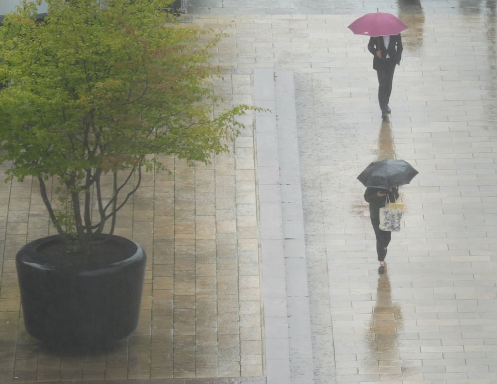 Eine Zusammenfassung der Aussichten: Regen, Wolken und Gewitter. (Symbolbild)