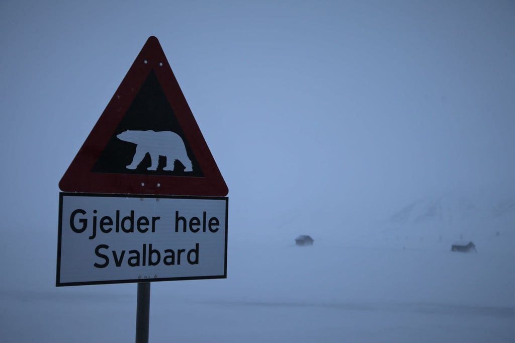 Ein Schild warnt auf Spitzbergen vor Eisbären. (Symbolbild)