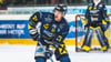 Jesper Akerman ist der erste Import-Verteidiger der Saale Bulls seit dem Kanadier Steven Tarasuk in der Saison 2017/18.