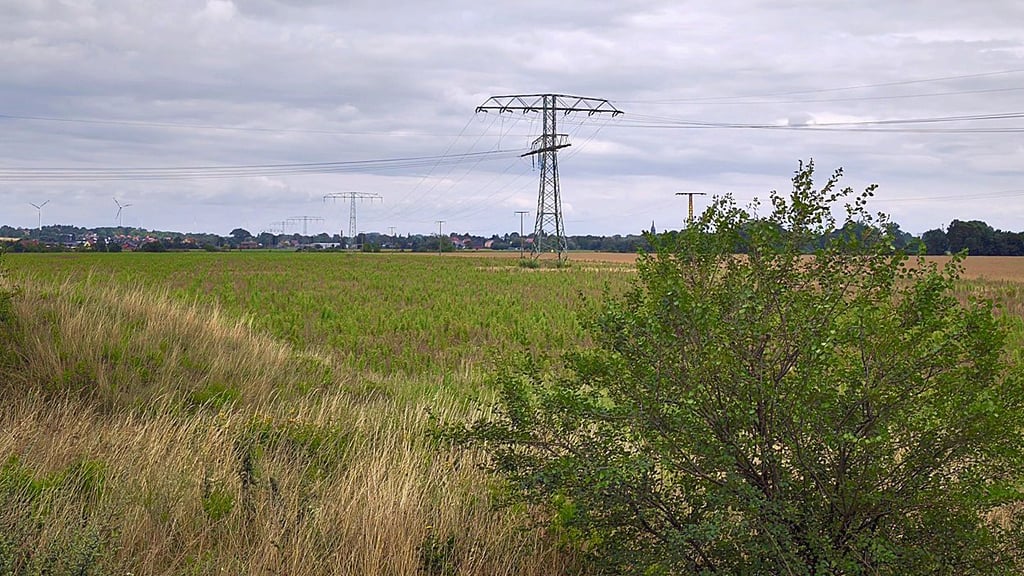 Die geplante Fläche – das Bild zeigt einen Ausschnitt – liegt an der Straße zwischen Haldensleben und Bülstringen nahe des Umspannwerkes.