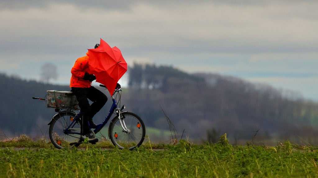 In Sachsen-Anhalt drohen Ende Juli und Anfang August Schauer und Gewitter.