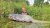 Daniel Krieger zieht einen dicken Fisch an Land: einen mehr als zwei Meter großen Wels. Ähnlich imposante Bilder sind auf seinem Instagramprofil @apollo_fishing zu finden. 