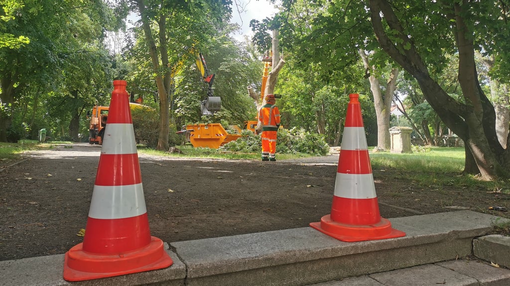 Derzeit sind Teile der Plantage in Halberstadt wegen Baumfällarbeiten gesperrt.