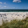 Lieber früher in die Ferien starten oder doch später wie Bayern und Baden-Württemberg? Auch in Sachsen-Anhalt wird darüber diskutiert. (Archivbild)