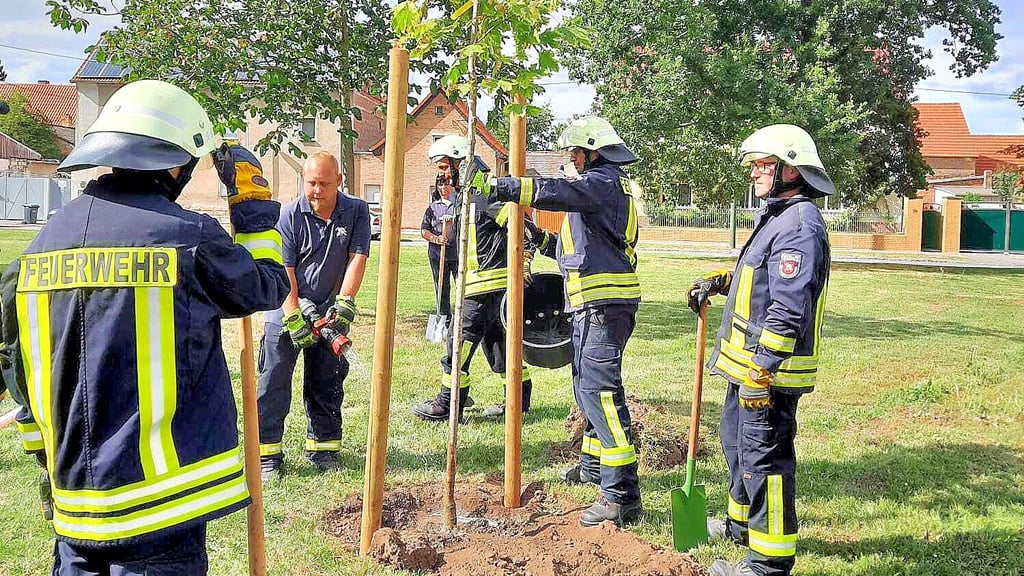 Der frisch eingepflanzte Ahornbaum am Reichardtswerbener Mittelteich am Dorfplatz wurde im Anschluss gleich bewässert – wie es sich für eine Feuerwehr gehört natürlich mit einem Schlauch und Wasser aus einem Feuerwehrfahrzeug.