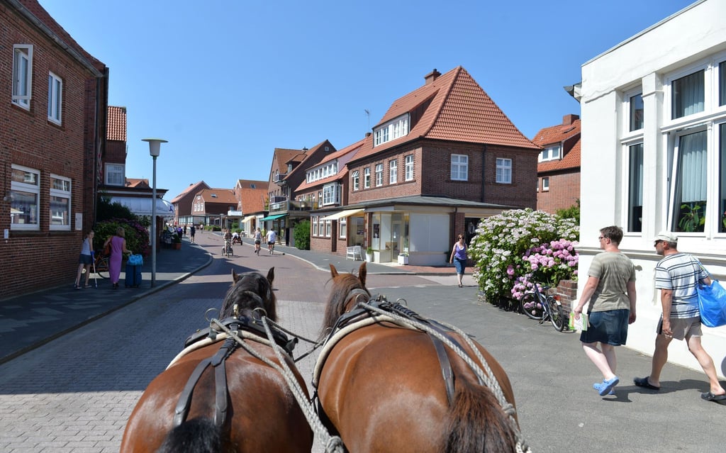 Pferdefuhrwerke prägen bislang das Bild auf der autofreien Nordseeinsel Juist. (Archivbild)