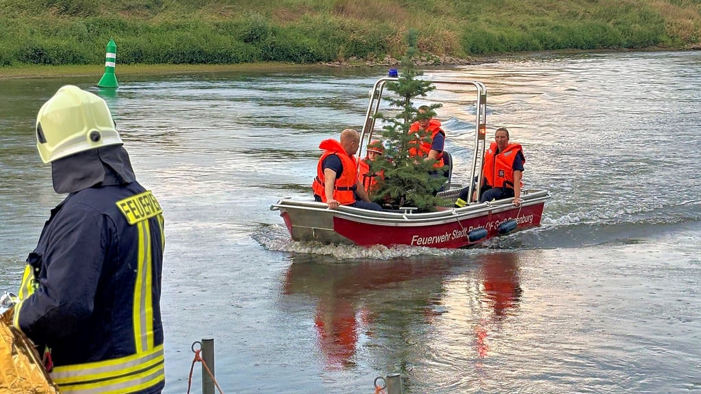 Sie braucht nur noch geschmückt zu sein, die Coloradotanne, dann könnte die Feuerwehr Rosenburg auch an der Spaßregatta des Saalebadetages teilnehmen.