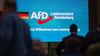 Der Verfassungsschutz hat die AfD Brandenburg als gesichert rechtsextremistisch eingestuft. (Archivbild)