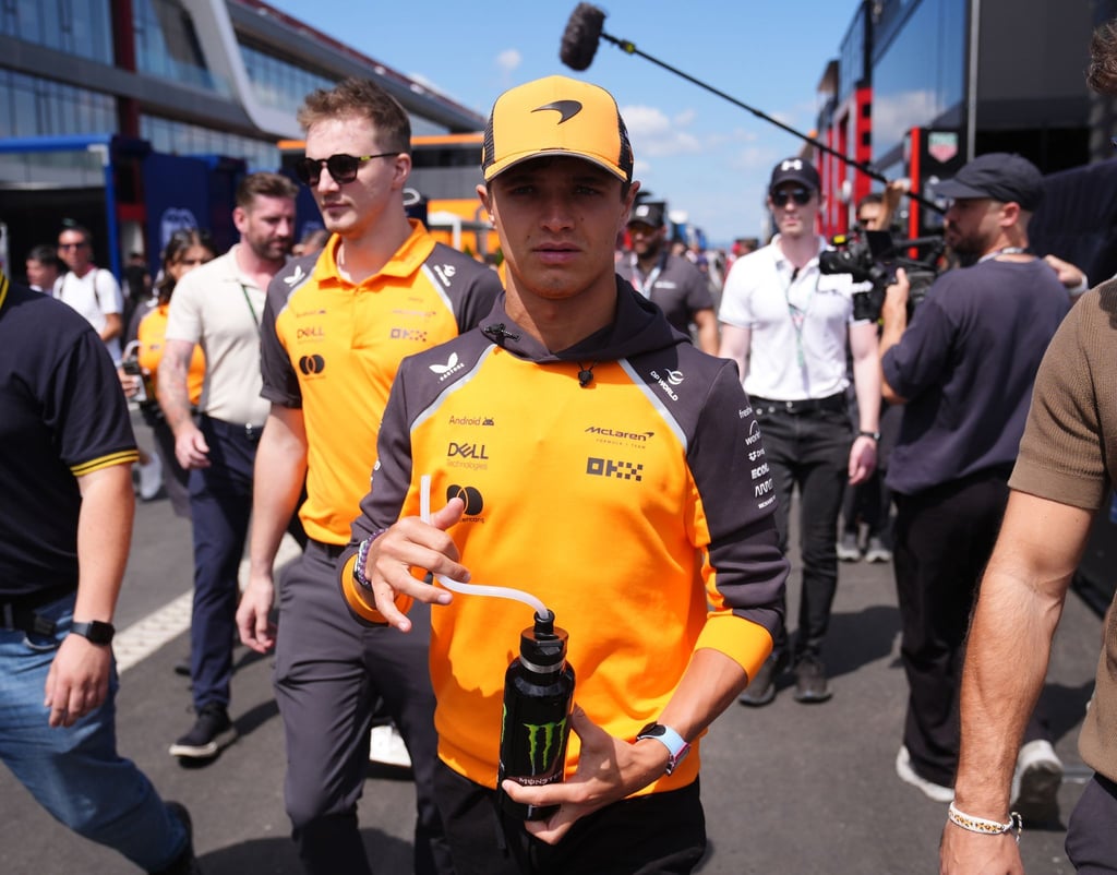 Schnellster im Ungarn-Training: Lando Norris.
