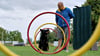 Vorsitzender des Hundesportvereins Lutz Maas und Reporter-Hund Rocky. 