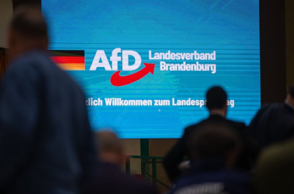 Der Verfassungsschutz hat die AfD Brandenburg als gesichert rechtsextremistisch eingestuft. (Archivbild)
