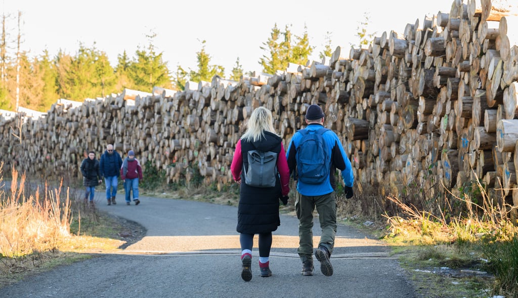 So schön kann eine Wanderung sein - in Sachsen-Anhalt gibt es zahlreiche lohnenswerte Routen. (Foto:
