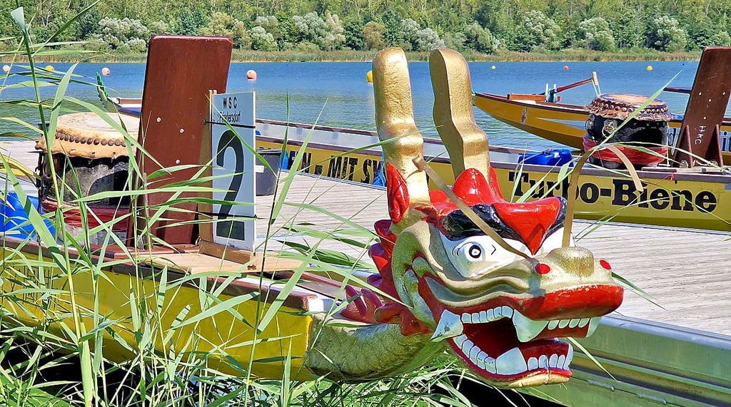 Die 25. Drachenboot Regatta auf dem Muldestausee freut sich auf viele Teilnehmer. Anmeldungen werden noch angenommen.