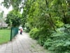 Eine Anwohnerin geht den unbeleuchteten Abschnitt der Blauebeilstraße in Magdeburg entlang. Bald sollen hier zwei neue Straßenlaternen für mehr Sicherheit sorgen.