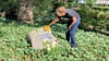 Gedenken an Hans-Joachim Sbrzesny: Anwesende legen während der Veranstaltung in Dessau-Roßlau Blumen nieder.