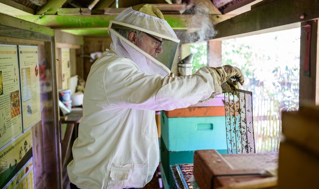 Hermann Benesch, Vorsitzender des Imkervereins am Kiekeberg, kontrolliert auf dem Museumsgelände einen Bienenstock.