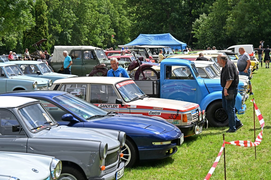 Oldtimer- und Zweitakt-Treffen der „Blauen Fahne“ in Mehringen: Zweitakt- und Oldtimerfreunde hatten jede Menge zum Schauen und Staunen.