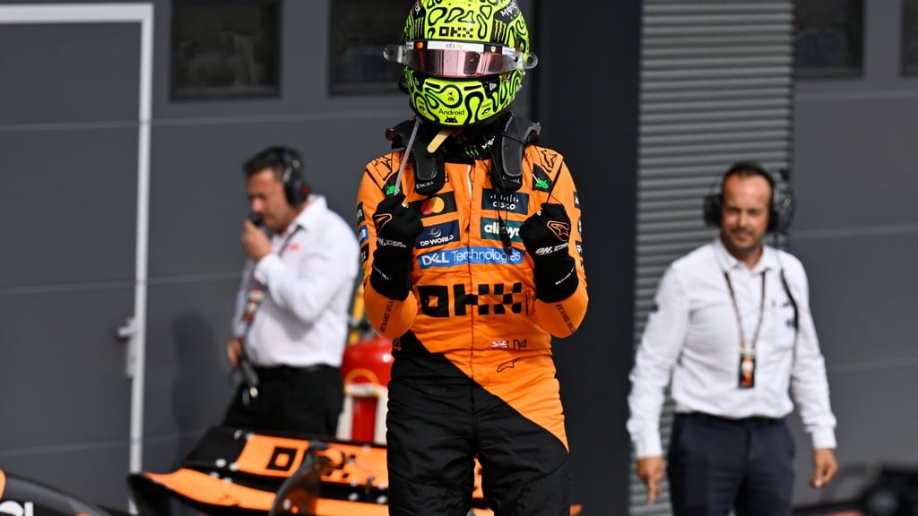 Lando Norris setzte in Ungarn auf eine gewagte Strategie und gewann.