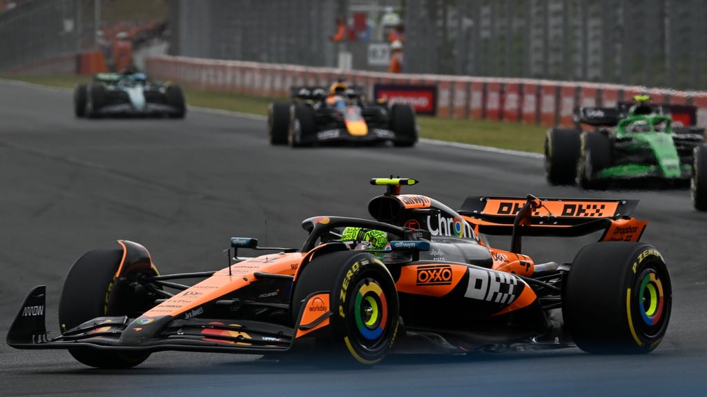 Lando Norris setzte in Ungarn auf eine gewagte Strategie und gewann.