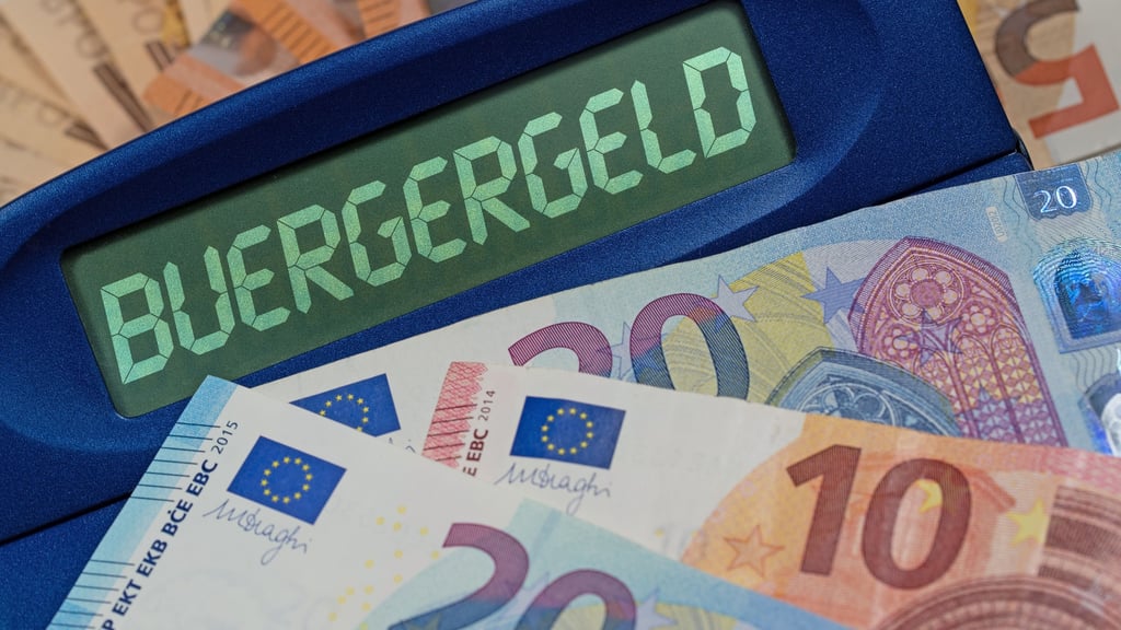 Wer nicht arbeiten will, soll seinen Anspruch aufs Bürgergeld verlieren, fordern Landräte aus Sachsen-Anhalt.