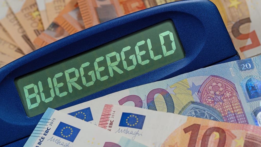 Wer nicht arbeiten will, soll seinen Anspruch aufs Bürgergeld verlieren, fordern Landräte aus Sachsen-Anhalt.